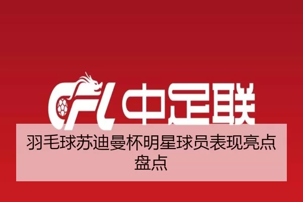 羽毛球苏迪曼杯明星球员表现亮点盘点