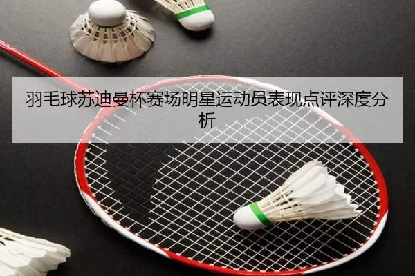 羽毛球苏迪曼杯赛场明星运动员表现点评深度分析